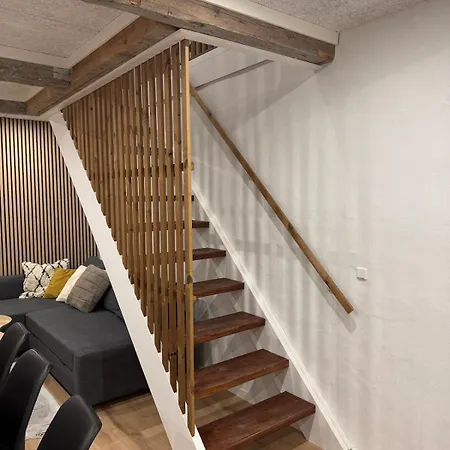 The Wild Swan - Big House With Many Beds In - Free Parking Apartment Odense