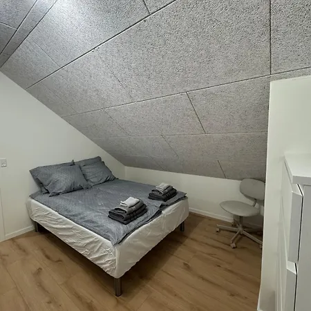 Apartment The Wild Swan - Big House With Many Beds In - Free Parking *